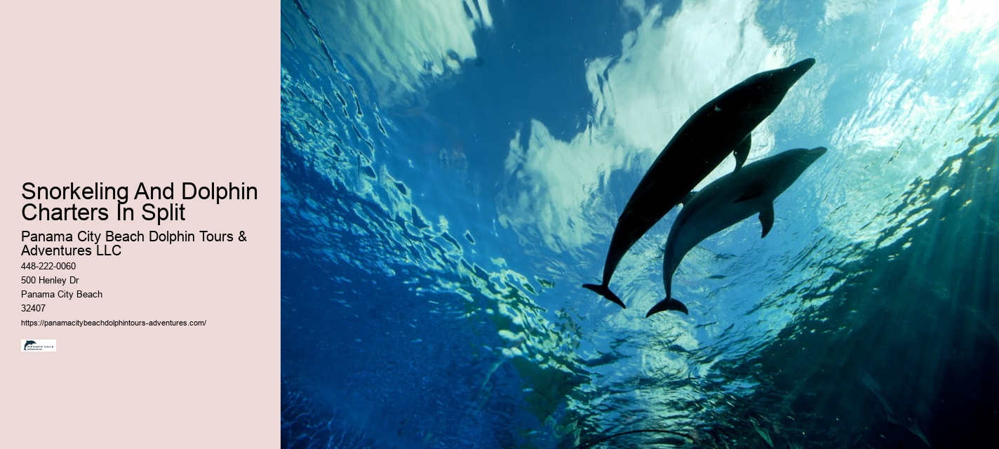 Do Dolphins Use 100% Of Their Brain