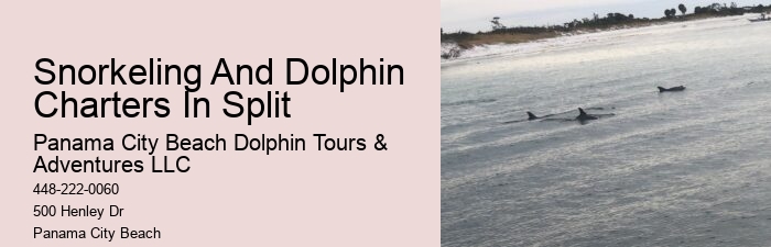 Panama City Beach Dolphin Tours & More