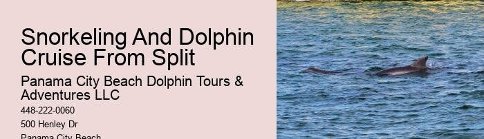 Are there any restrictions on interactions with dolphins during the tours in Panama City Beach