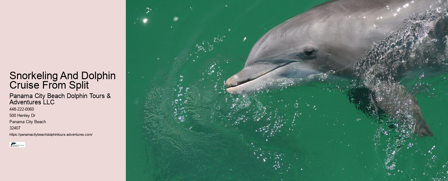 How Do Dolphins Know Humans Are Pregnant
