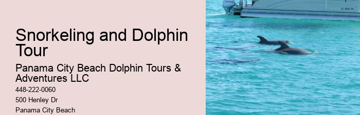 Do Dolphins Like Being Petted