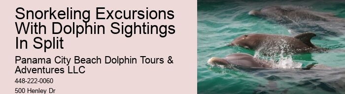 Tailored Dolphin Safari and Snorkeling Adventures
