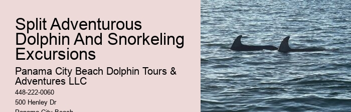 Salty Mary Dolphin And Snorkel Tours Reviews