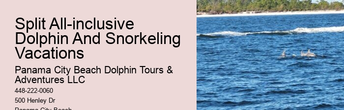 Where Is The Best Place To Swim With Dolphins