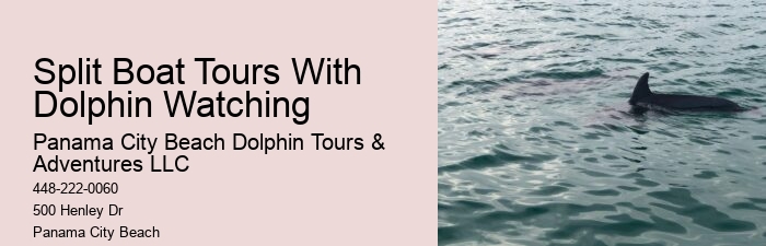 Are dolphin tours in Panama City Beach suitable for children