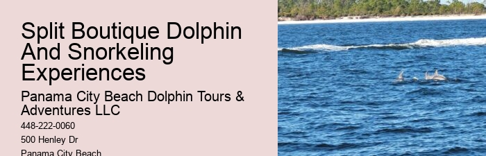 Panama City Beach Speed Boat Tour