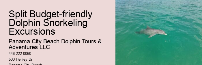 Private 2 Hour Dolphin Cruise