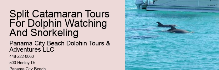 Island Excursion And Dolphin Watch