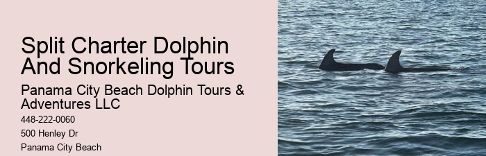 Dolphin Tales: Dolphin Mating Habits
