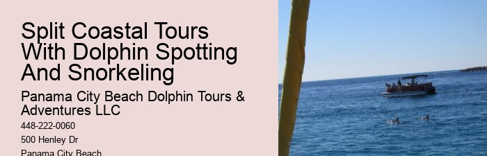 Jet Ski Dolphin Tours Near Me