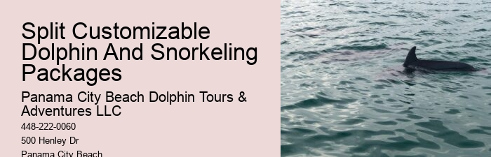 Are You Not Supposed To Touch Dolphins