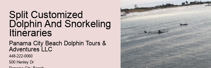 PCB Dolphin Spotting Cruises