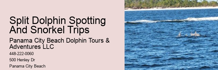 Island Excursion