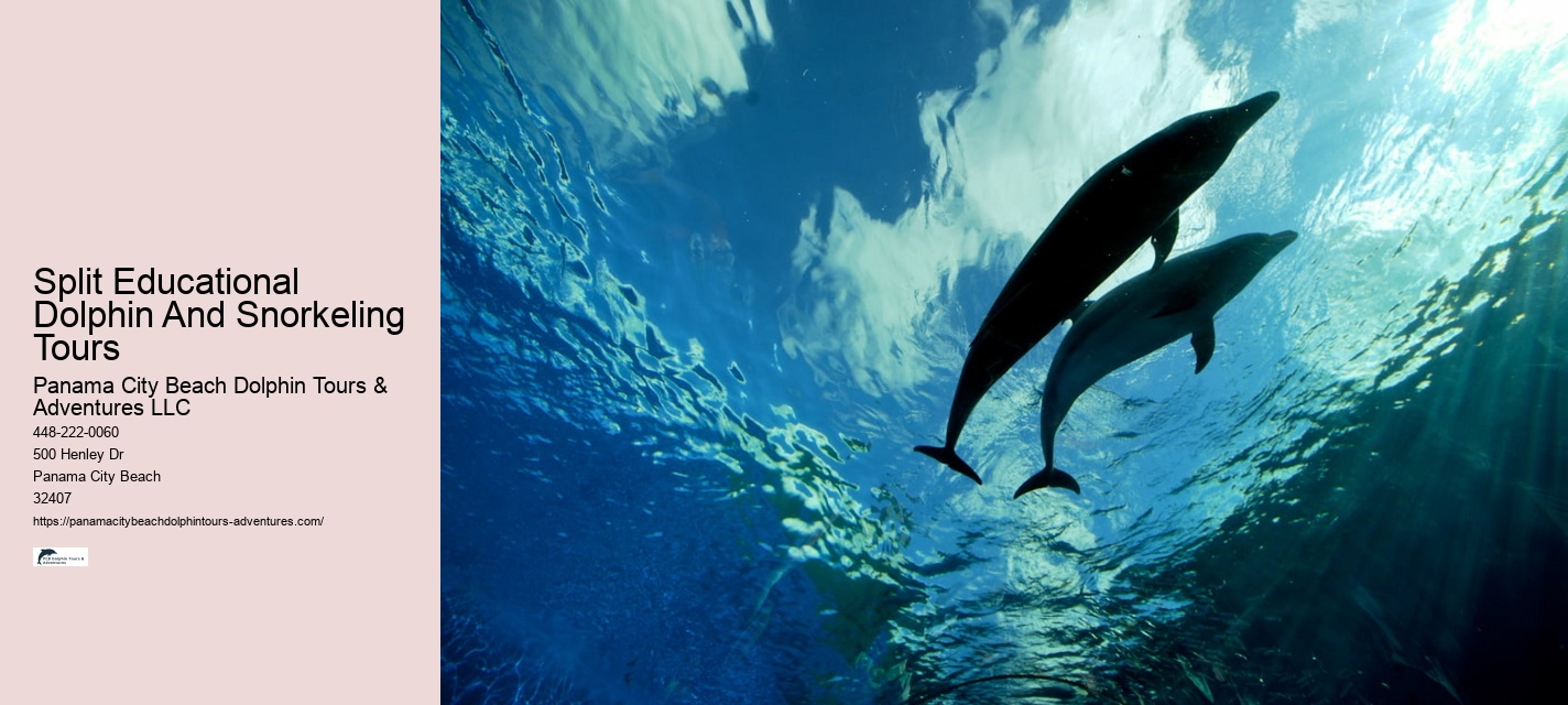 Panama City Beach Dolphin Voyage Tours