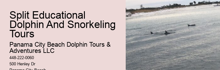 Rudee Flipper Dolphin Tours Virginia Beach