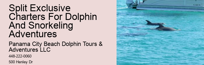 Panama City Beach Fl Dolphin Cruise