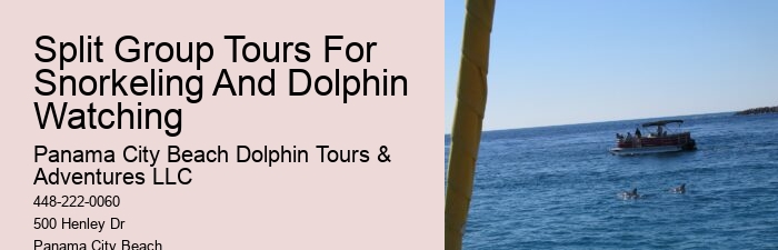 Are there any hidden fees associated with the dolphin tours