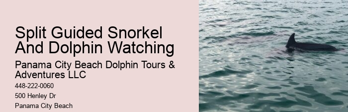 Fishing charters