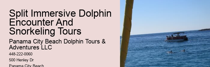 Boat 3d Tours