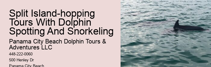 Dolphin Tours Treasure Island