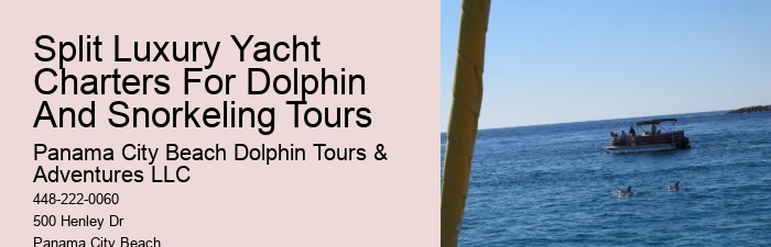 Private Dolphin Tours