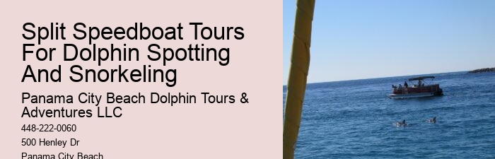 Are Panama City Beach dolphin tours suitable for people with disabilities