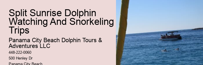Custom Dolphin Encounter and Snorkeling