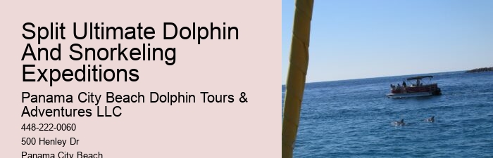 How much does a dolphin tour in Panama City Beach cost