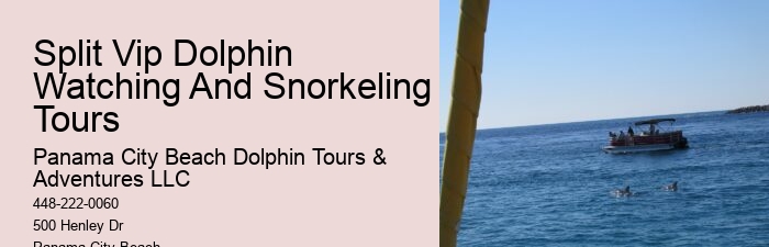 Split All-inclusive Dolphin And Snorkeling Vacations