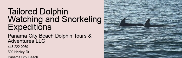 Dolphins