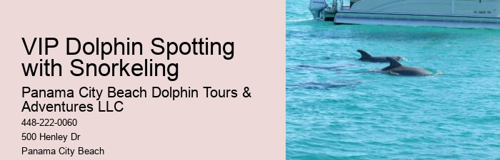 What is the average group size on a dolphin tour in Panama City Beach
