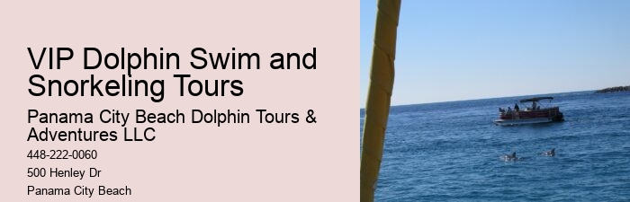 Personal Dolphin Encounter and Snorkeling Adventures