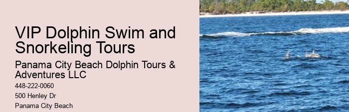 Dolphin Tours Rosemary Beach