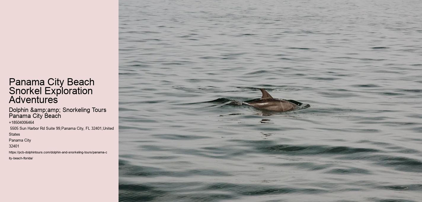 Panama City Beach Snorkel Exploration Adventures