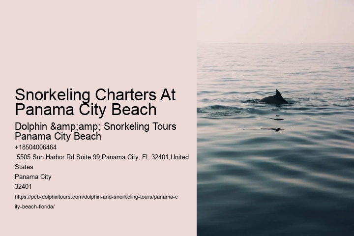 Snorkeling Charters At Panama City Beach