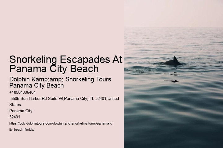 Snorkeling Escapades At Panama City Beach