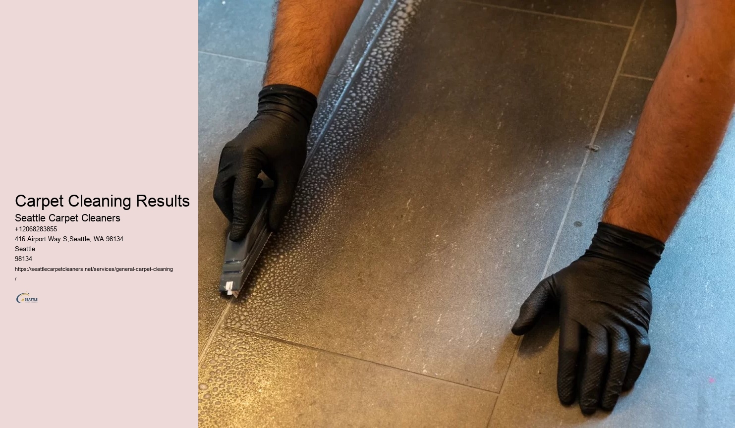 Carpet Cleaning Results