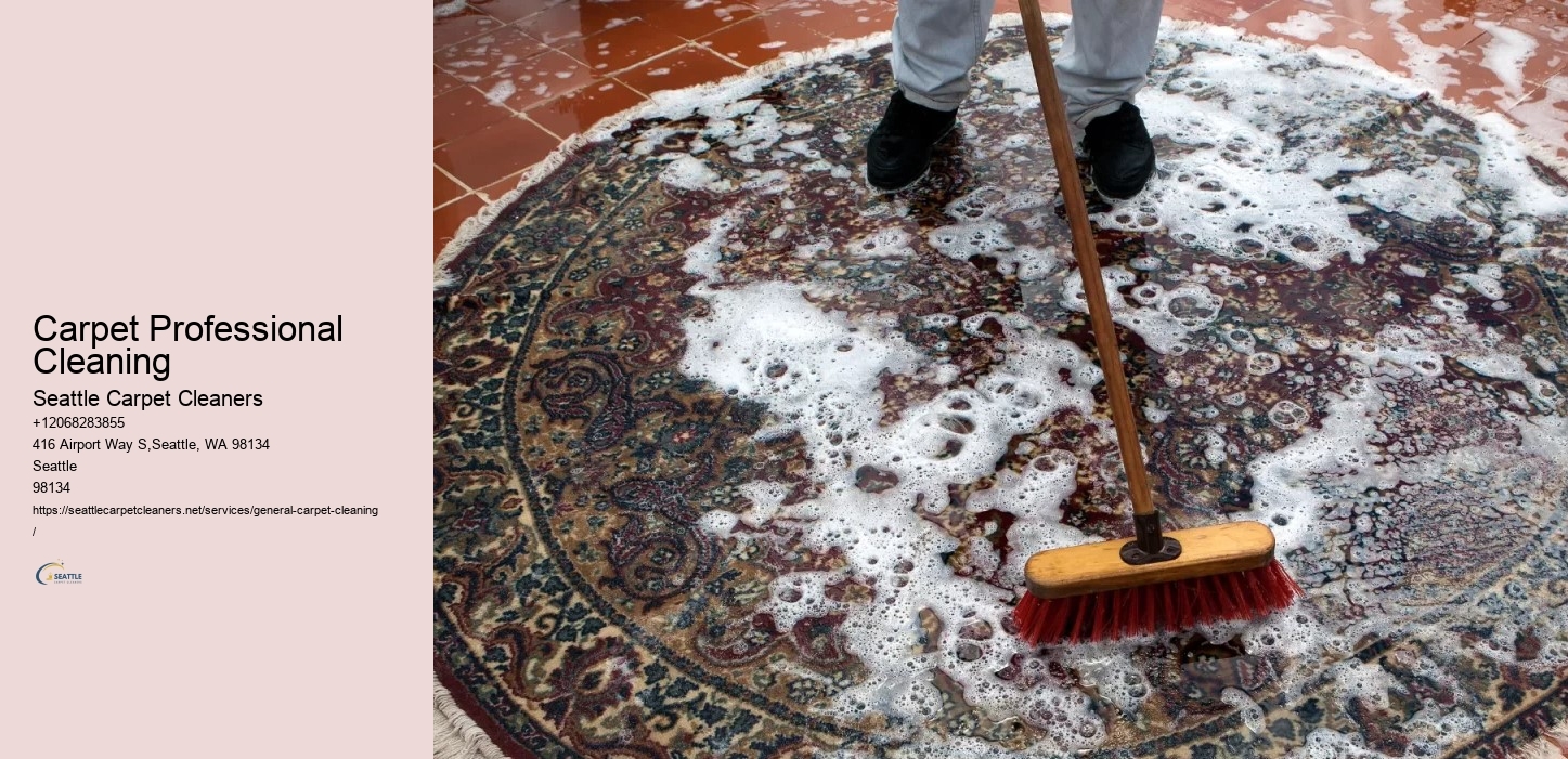 Carpet Professional Cleaning