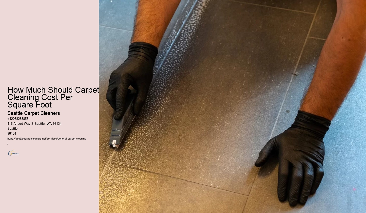 How Much Should Carpet Cleaning Cost Per Square Foot