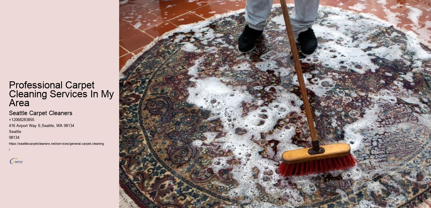 Professional Carpet Cleaning Services In My Area