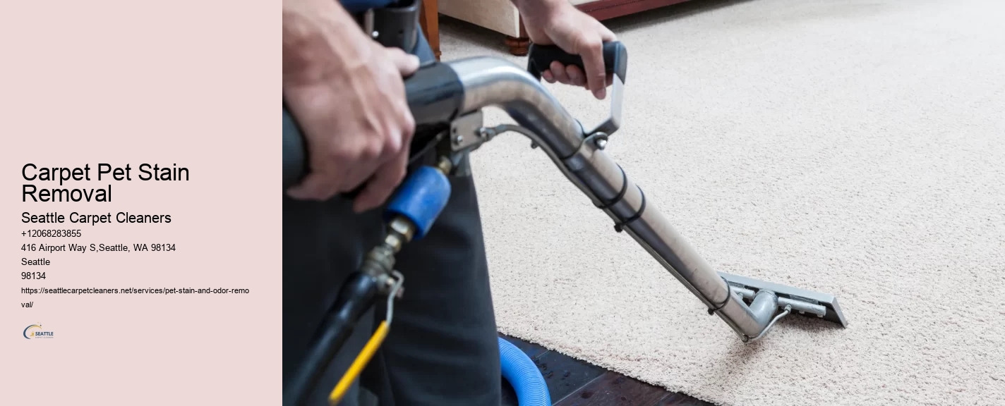 Carpet Pet Stain Removal