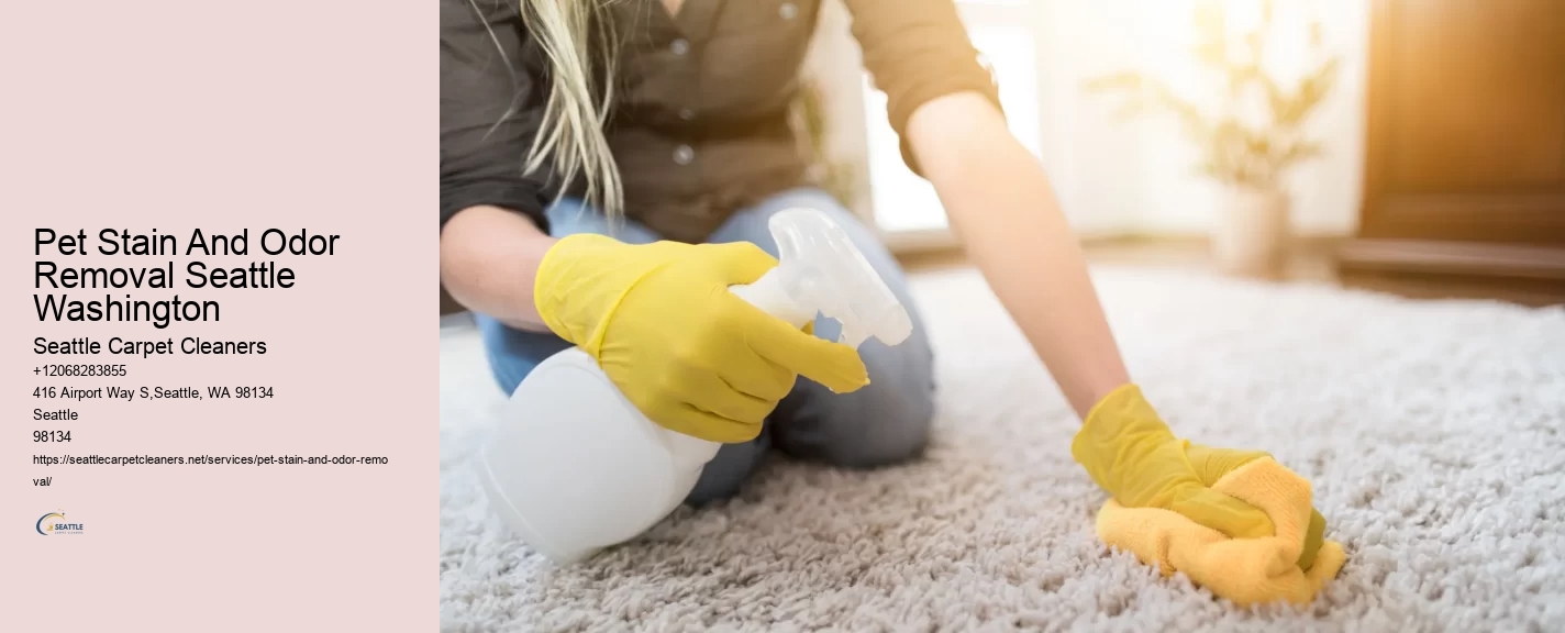 Pet Stain And Odor Removal Seattle Washington