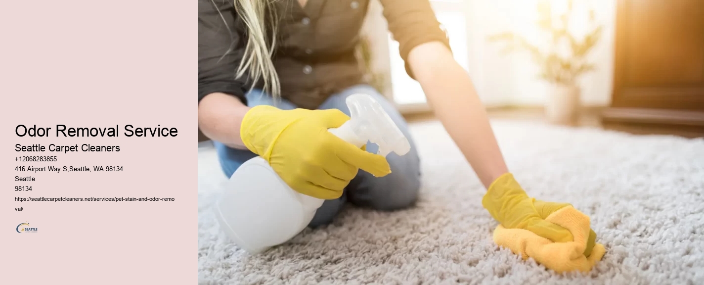 Odor Removal Service