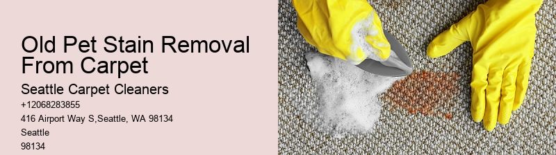 Old Pet Stain Removal From Carpet