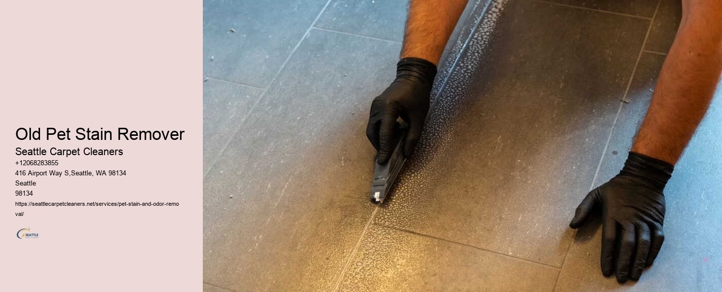 Old Pet Stain Remover