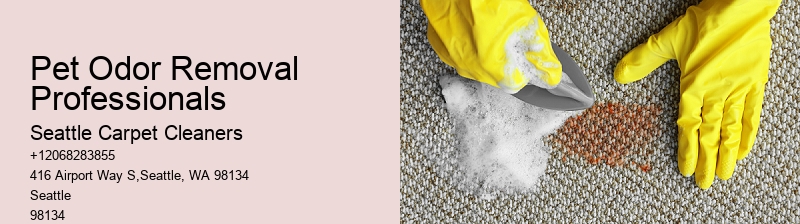 Pet Odor Removal Professionals