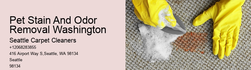 Pet Stain And Odor Removal Washington