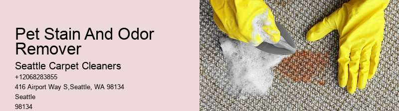 Pet Stain And Odor Remover