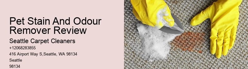 Pet Stain And Odour Remover Review