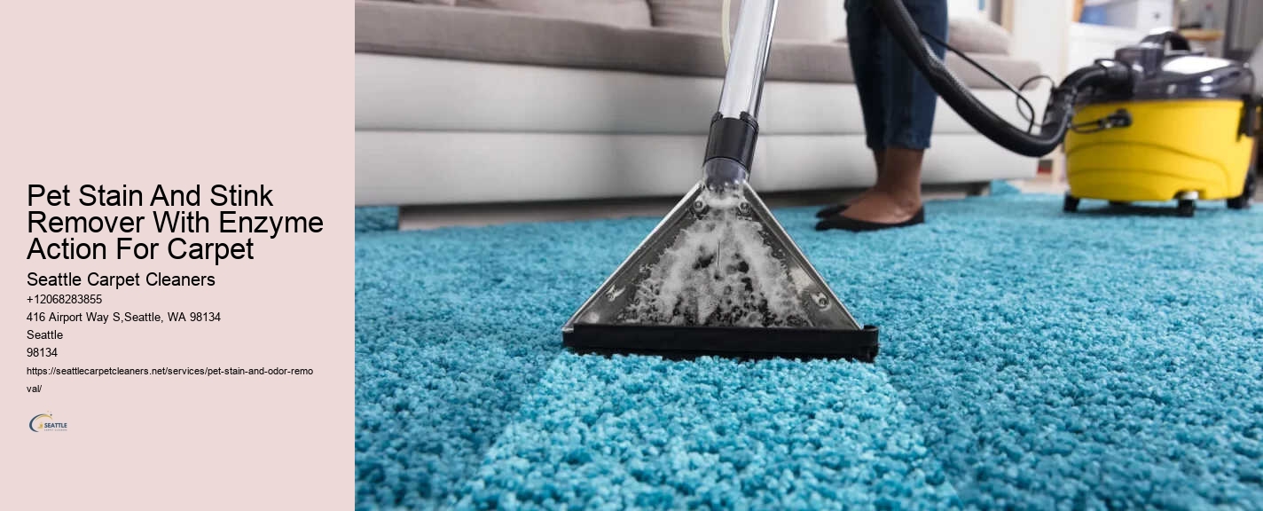 Pet Stain And Stink Remover With Enzyme Action For Carpet